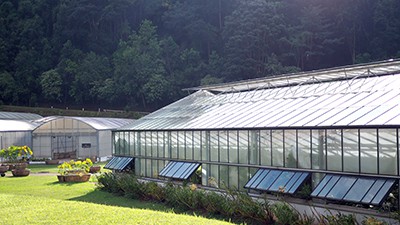 Invernadero solar PV