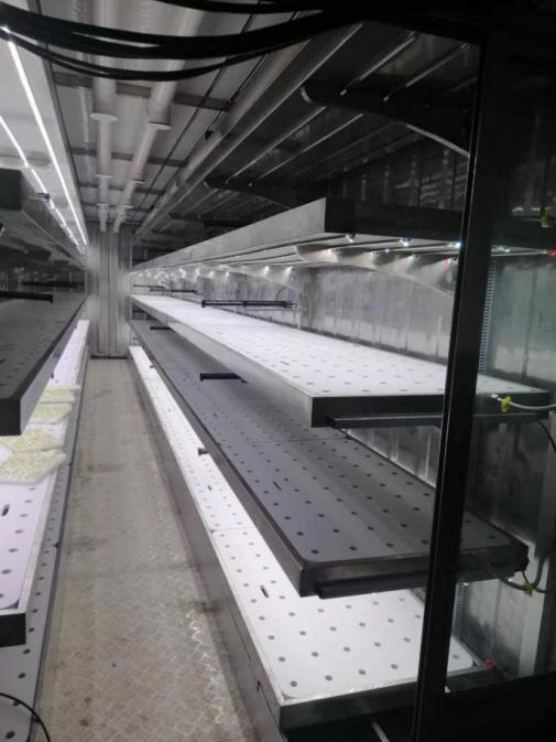 Planta de contenedor fábrica
