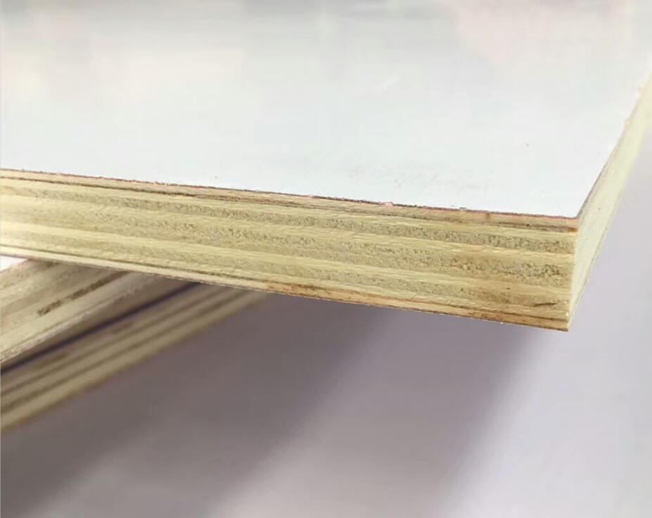 Chapa de madera laminada