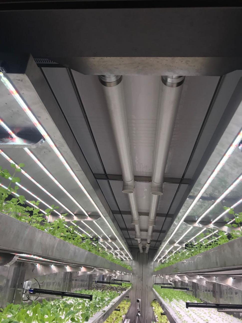 Planta de contenedor fábrica