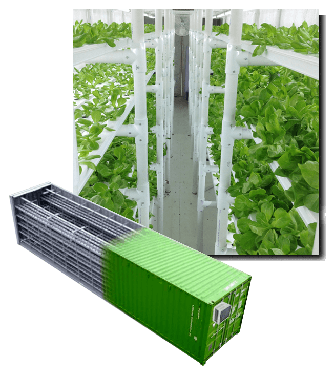 Planta de contenedor fábrica