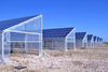Invernadero solar PV