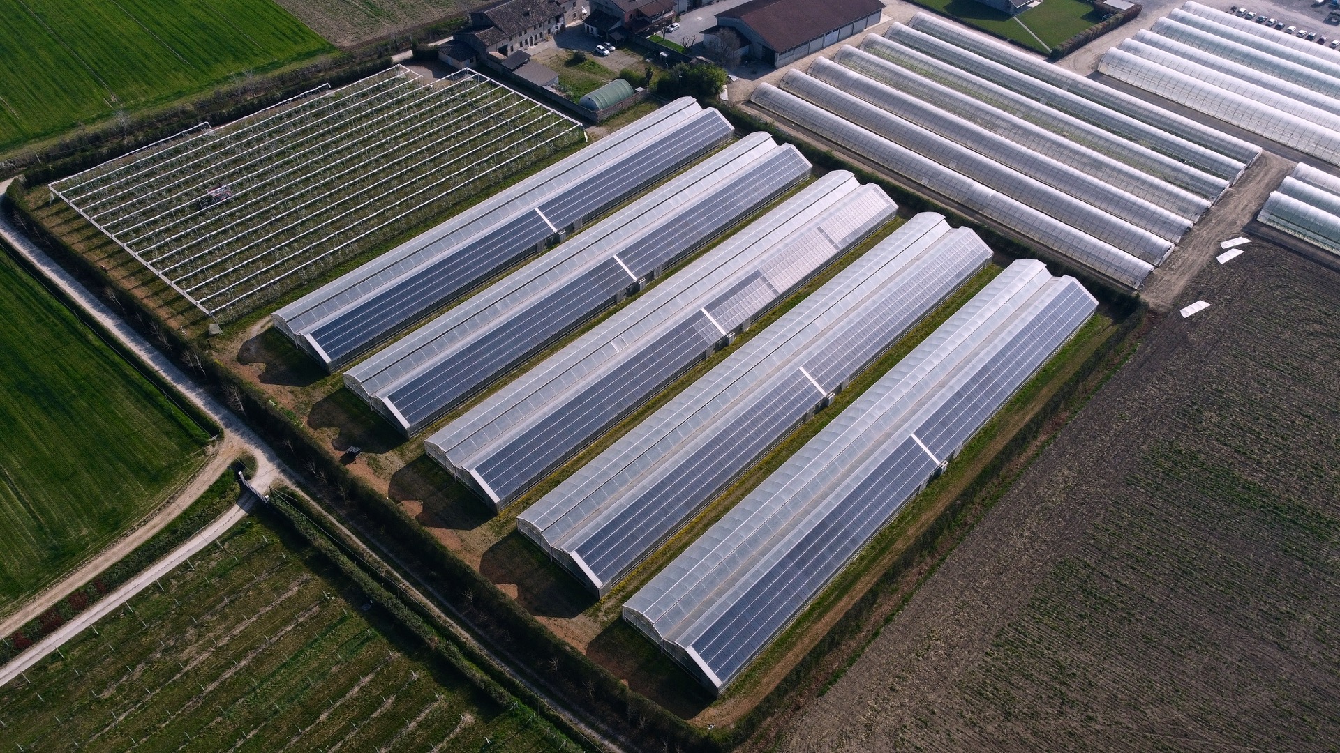 Invernadero solar PV